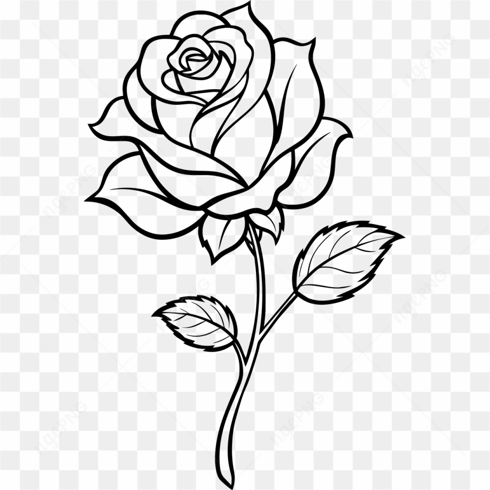 Flower art pic