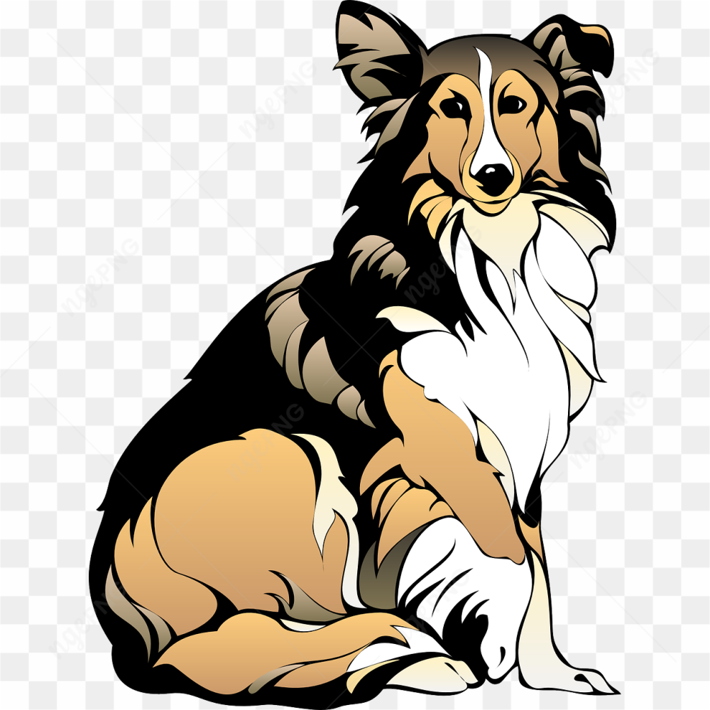 Gorgeous dog pic