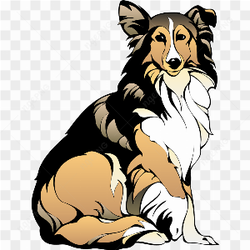 Gorgeous dog pic