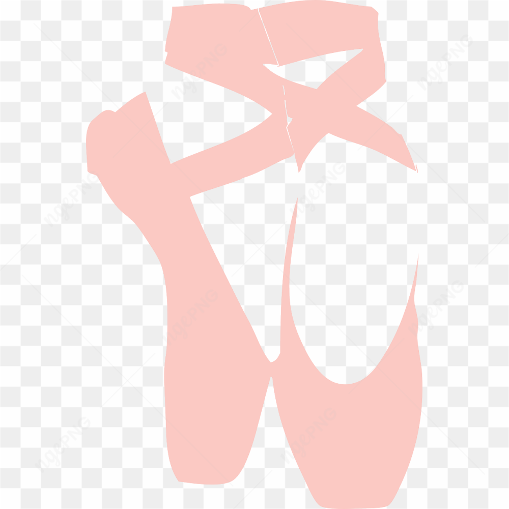 Shoe pic png