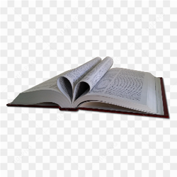 Holy Bible picture