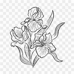 Sketsa bunga daun