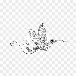 Sketsa burung aestetic