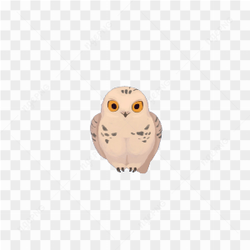 Cute owl sticker