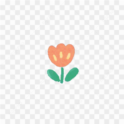 Orange tulip sticker