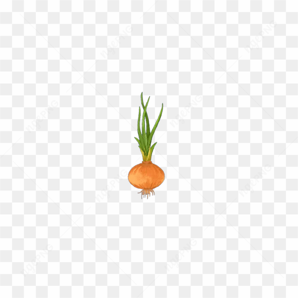 Pretty onion sticker
