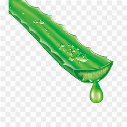 Les bienfaits de l'aloe vera pour la peau