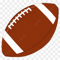 Ballon de football amricain Wilson NFL