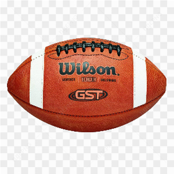 Ballon de football amricain Wilson NCAA 1003 GST