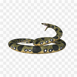 Un Anaconda vert