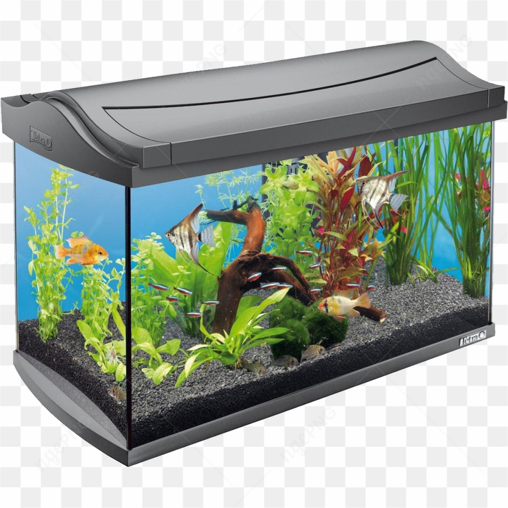 Aquarium Tetra AquaArt 60 litres
