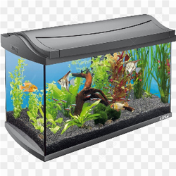 Aquarium Tetra AquaArt 60 litres