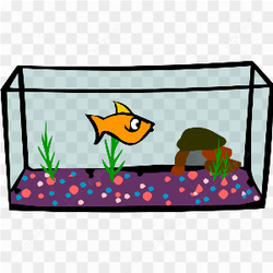 Un poisson rouge solitaire dans son bocal
