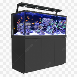 Aquarium rcifal de la mer Rouge MAX S 650