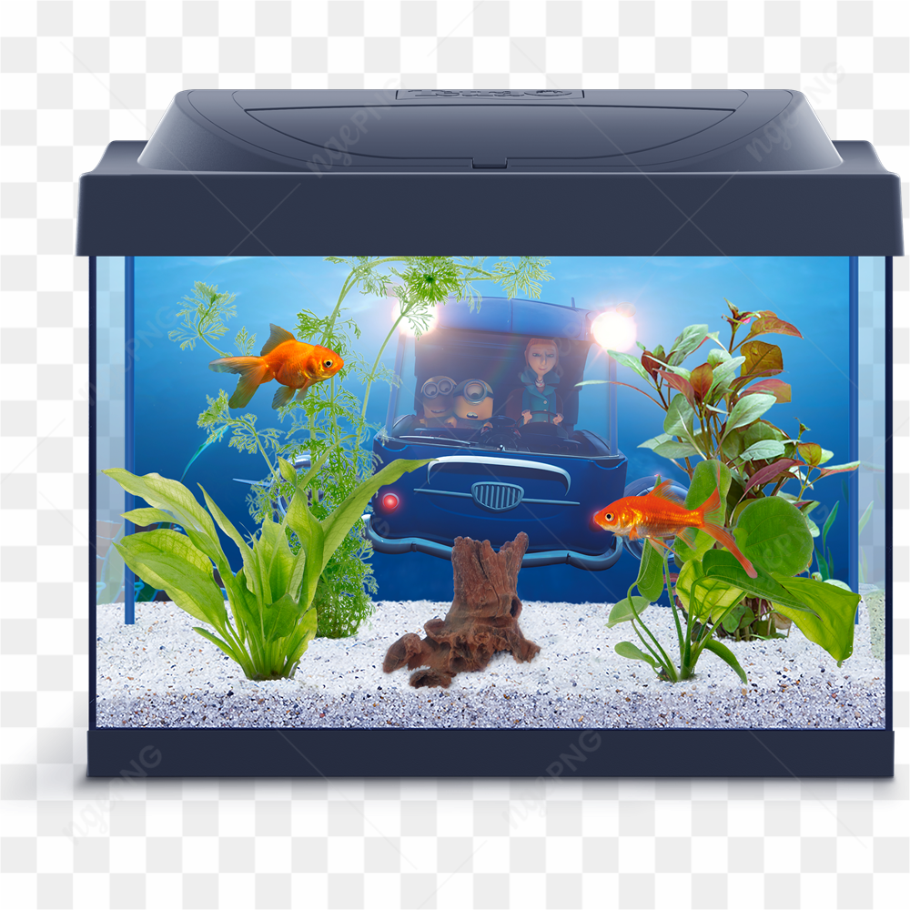 Aquarium Tetra Minions 30L