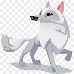Loup blanc solitaire