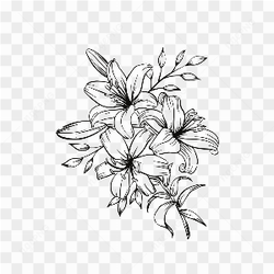 Graphical Image Type