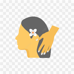 Graphical Image Type