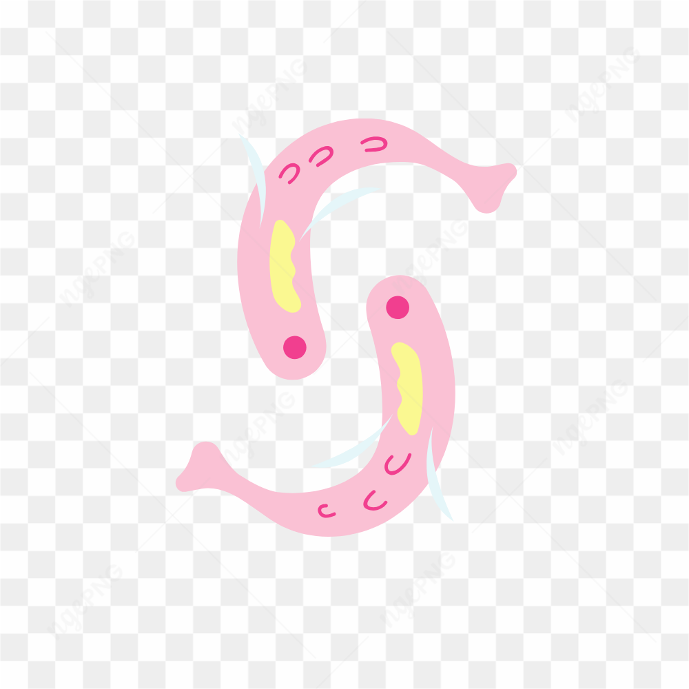 Graphical Image Type