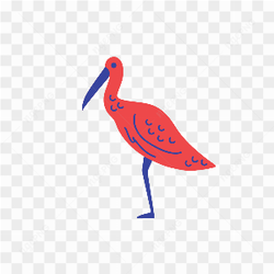 Graphical Image Type