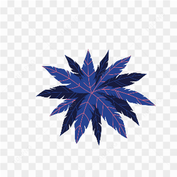 Graphical Image Type