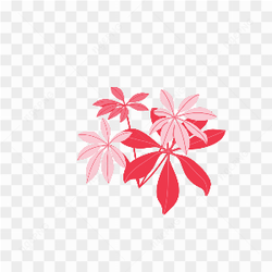 Graphical Image Type