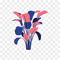 Graphical Image Type