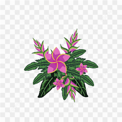 Graphical Image Type