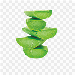 Aloe vera 002