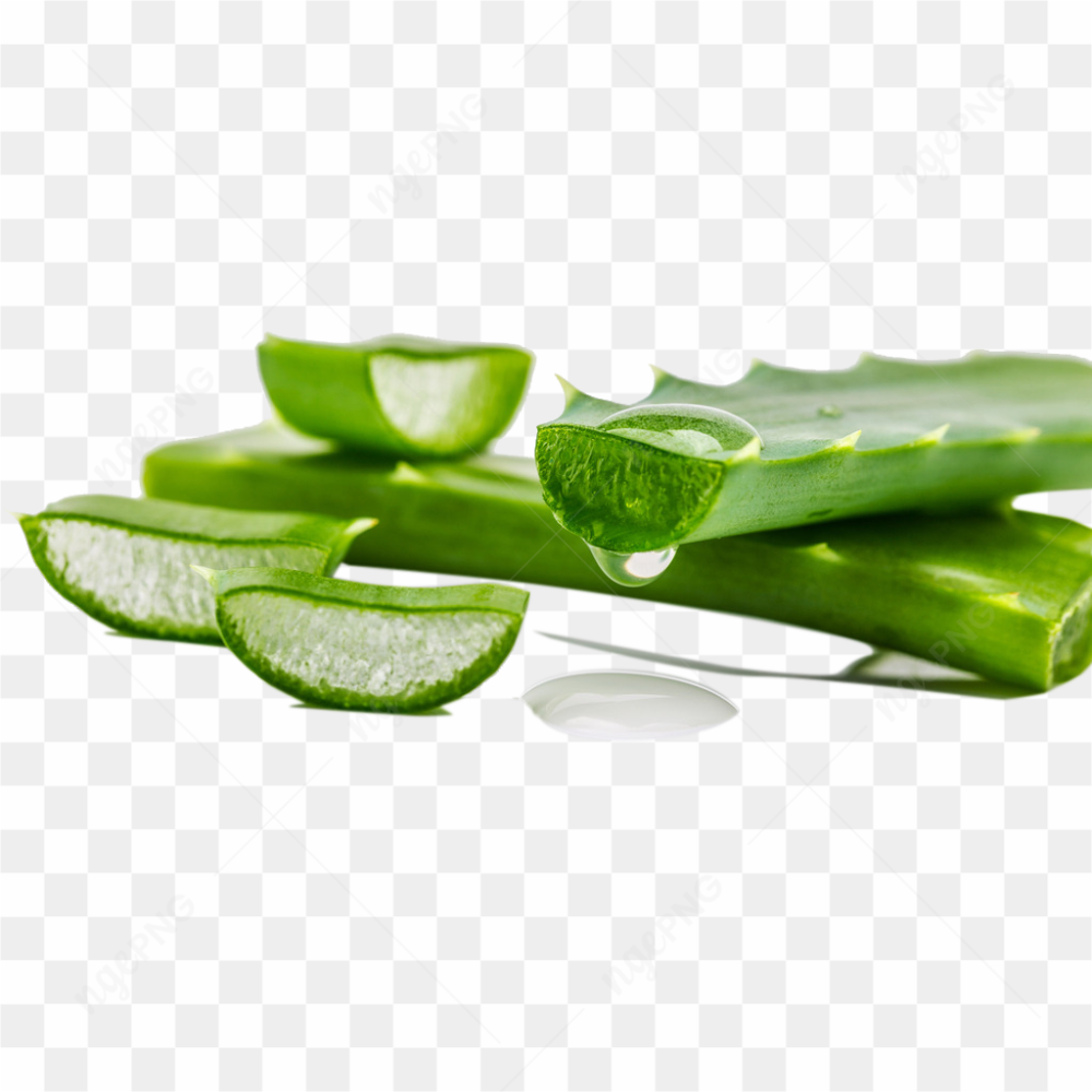 Aloe vera 004