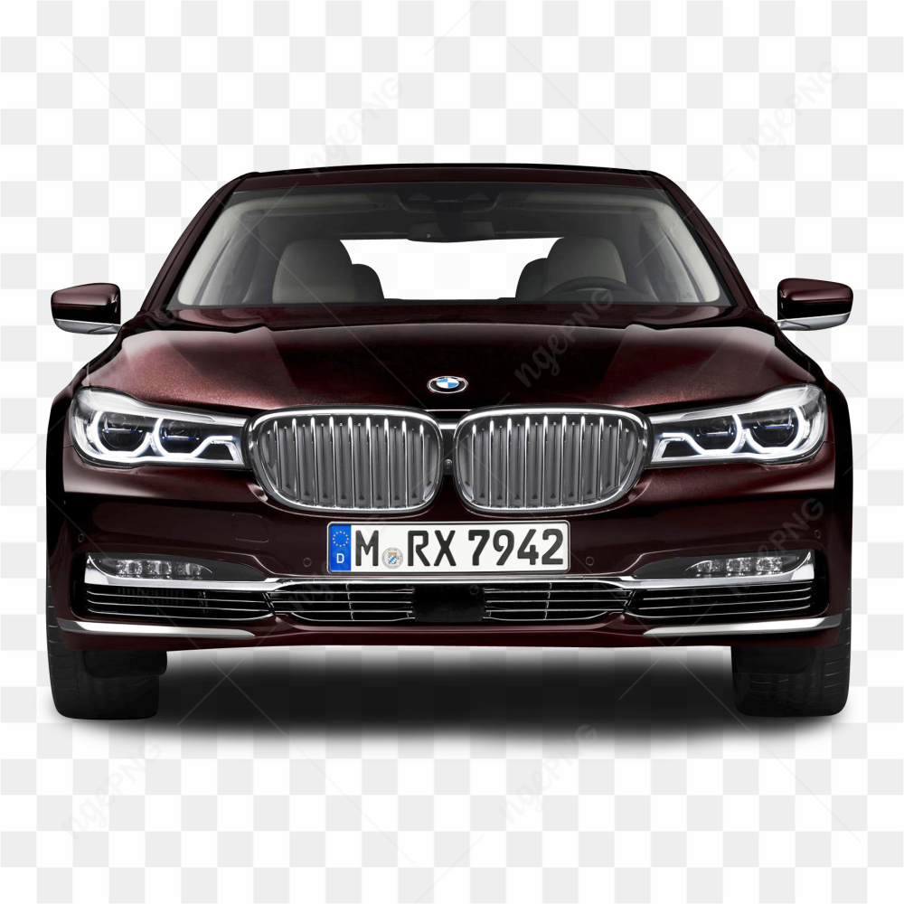 BMW Car Maroon