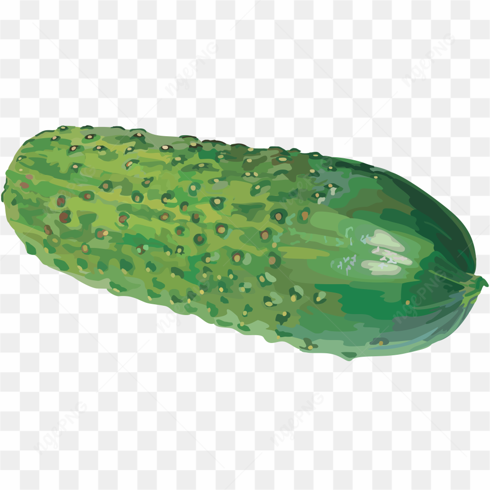 Cucumber full photo
