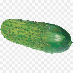 Cucumber full photo