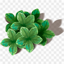 Leaf green picture 5