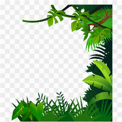Jungle drawing frame 2