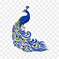 Peacock blue Green
