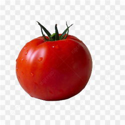 Tomato amazing photo 05