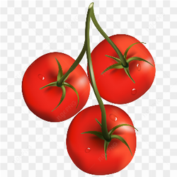 Tomato amazing photo 06