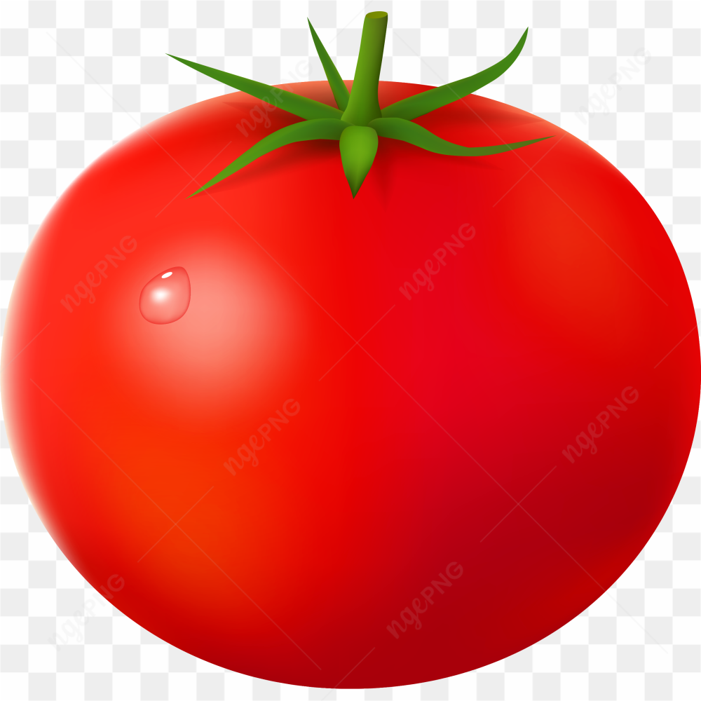 My tomato life