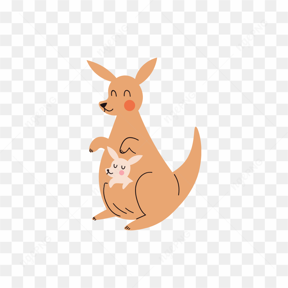 Kangaroo with her baby