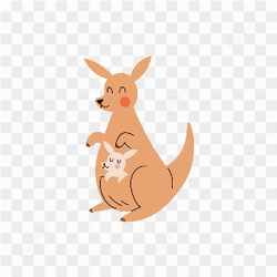 Kangaroo with her baby