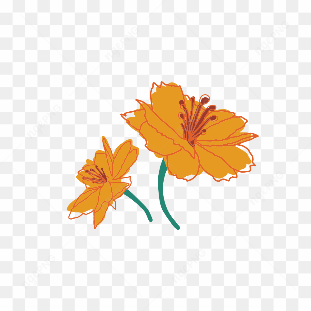 Orange flower in forest