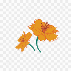 Orange flower in forest