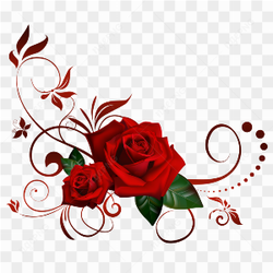 Red flower image