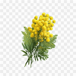 Floral yellow flowers AI generated