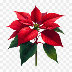 Vector Floral art 