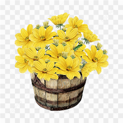Yellow flower bucket