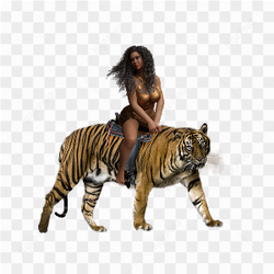 3d model of wonder woman riding a lion