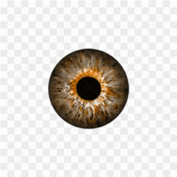 Very beautiful eye