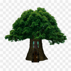 Green Tree png